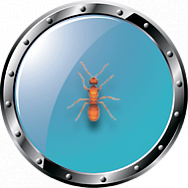 Уничтожение насекомых