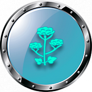 Уничтожение борщевика