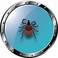 Уничтожение клещей