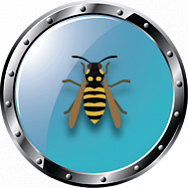 Уничтожение ос и шершней