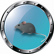 Уничтожение грызунов